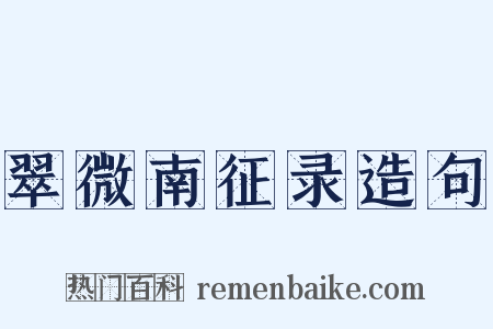 翠微南征录造句是什么意思的图片